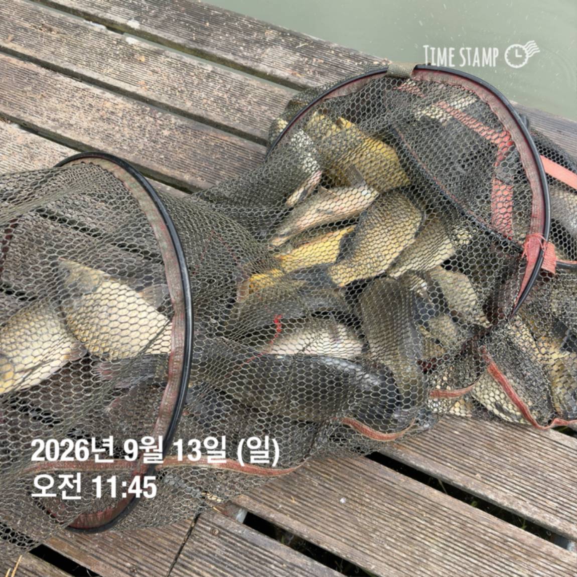 KakaoTalk_20260914_114505078_01.jpg