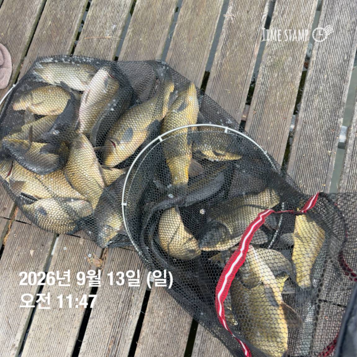 KakaoTalk_20260914_114505078_04.jpg
