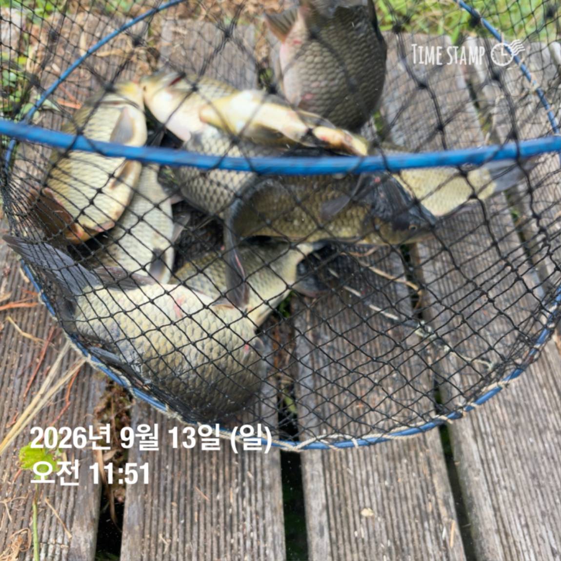 KakaoTalk_20260914_114505078_06.jpg
