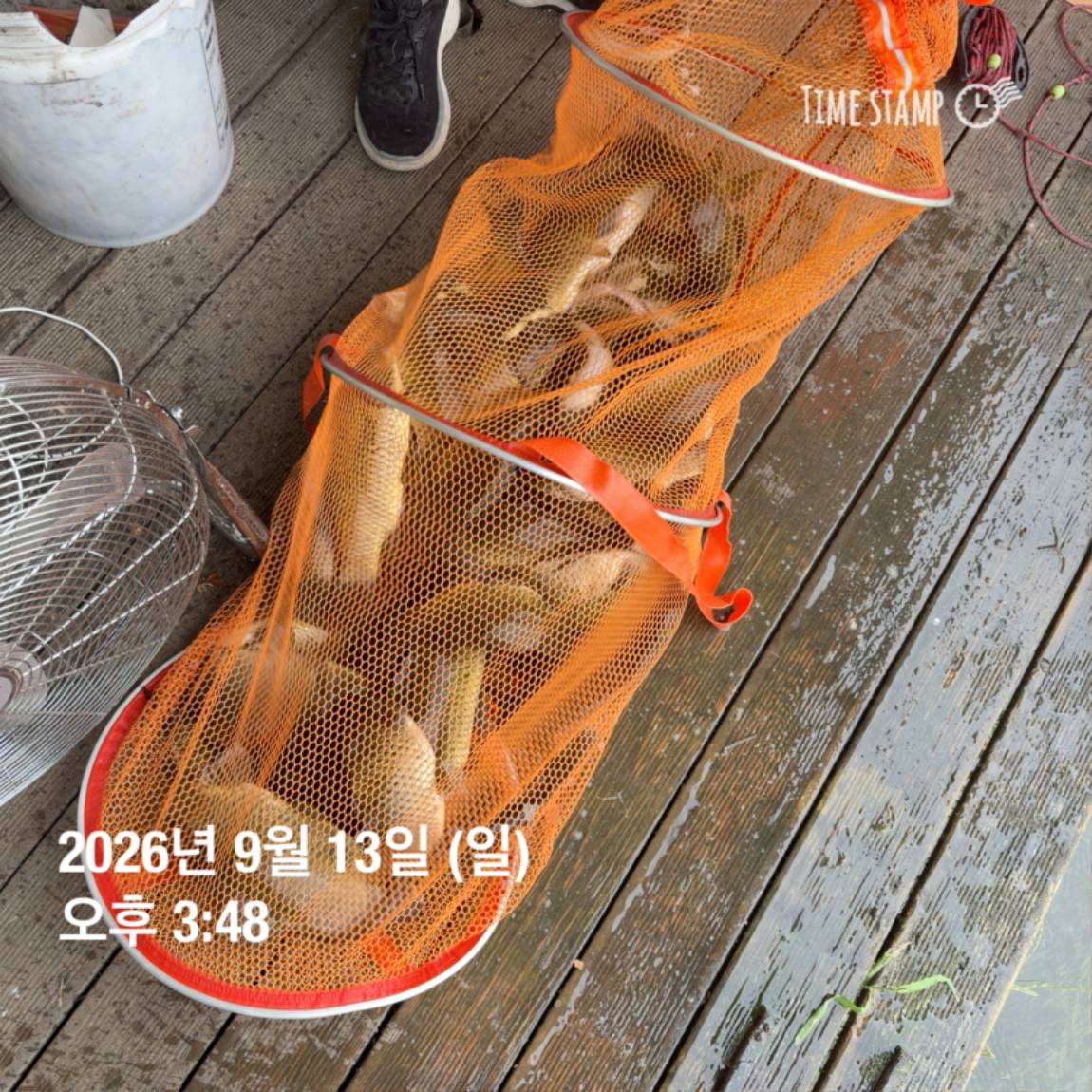 KakaoTalk_20260914_114505078_07.jpg