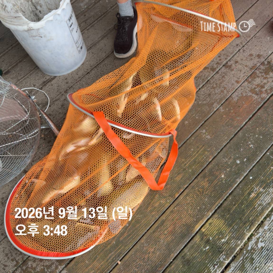 KakaoTalk_20260914_114505078_08.jpg