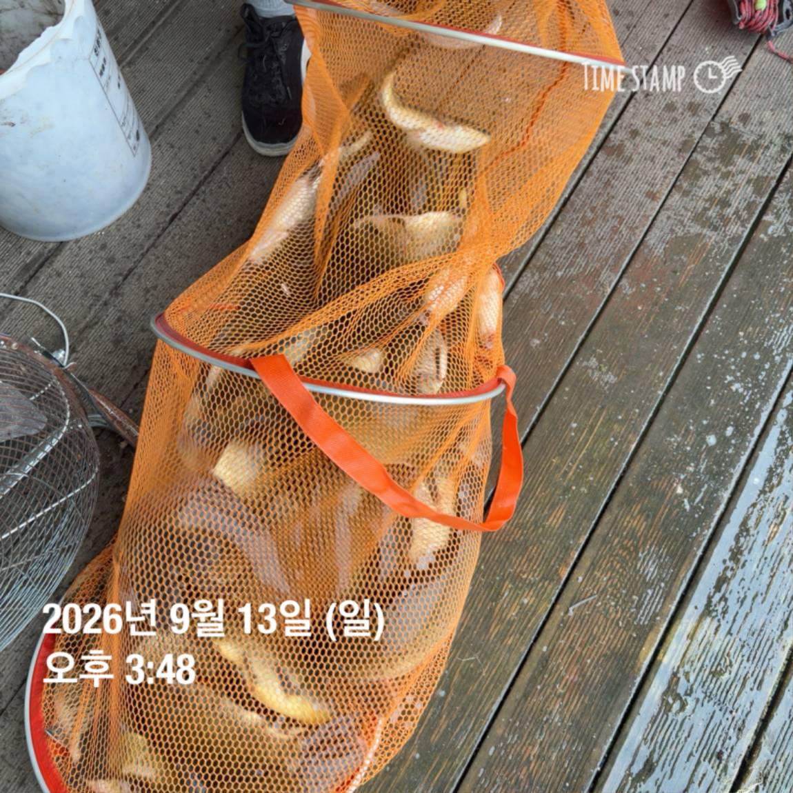 KakaoTalk_20260914_114505078_09.jpg