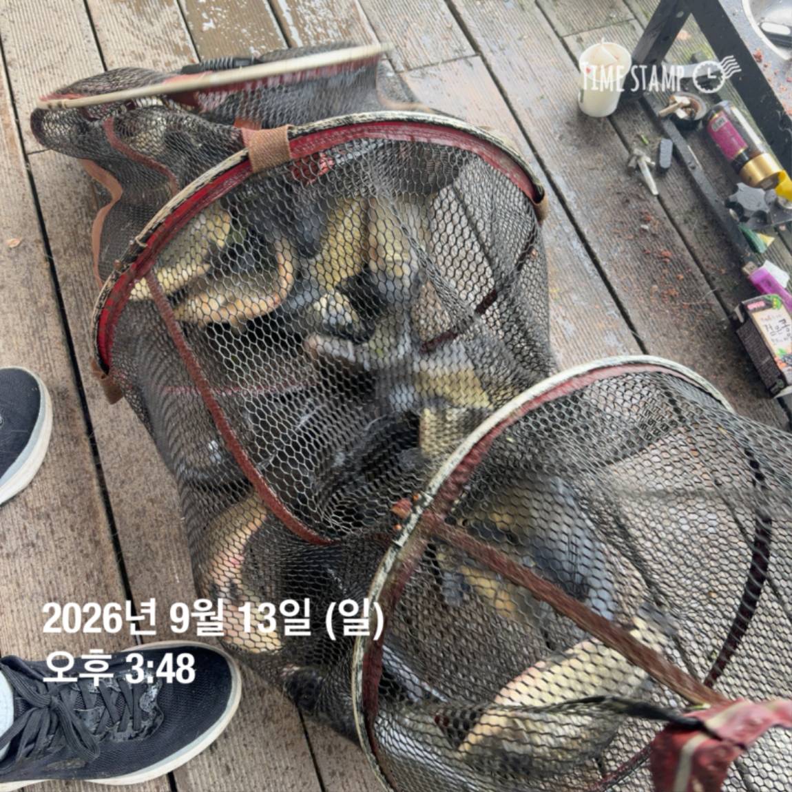KakaoTalk_20260914_114505078_11.jpg
