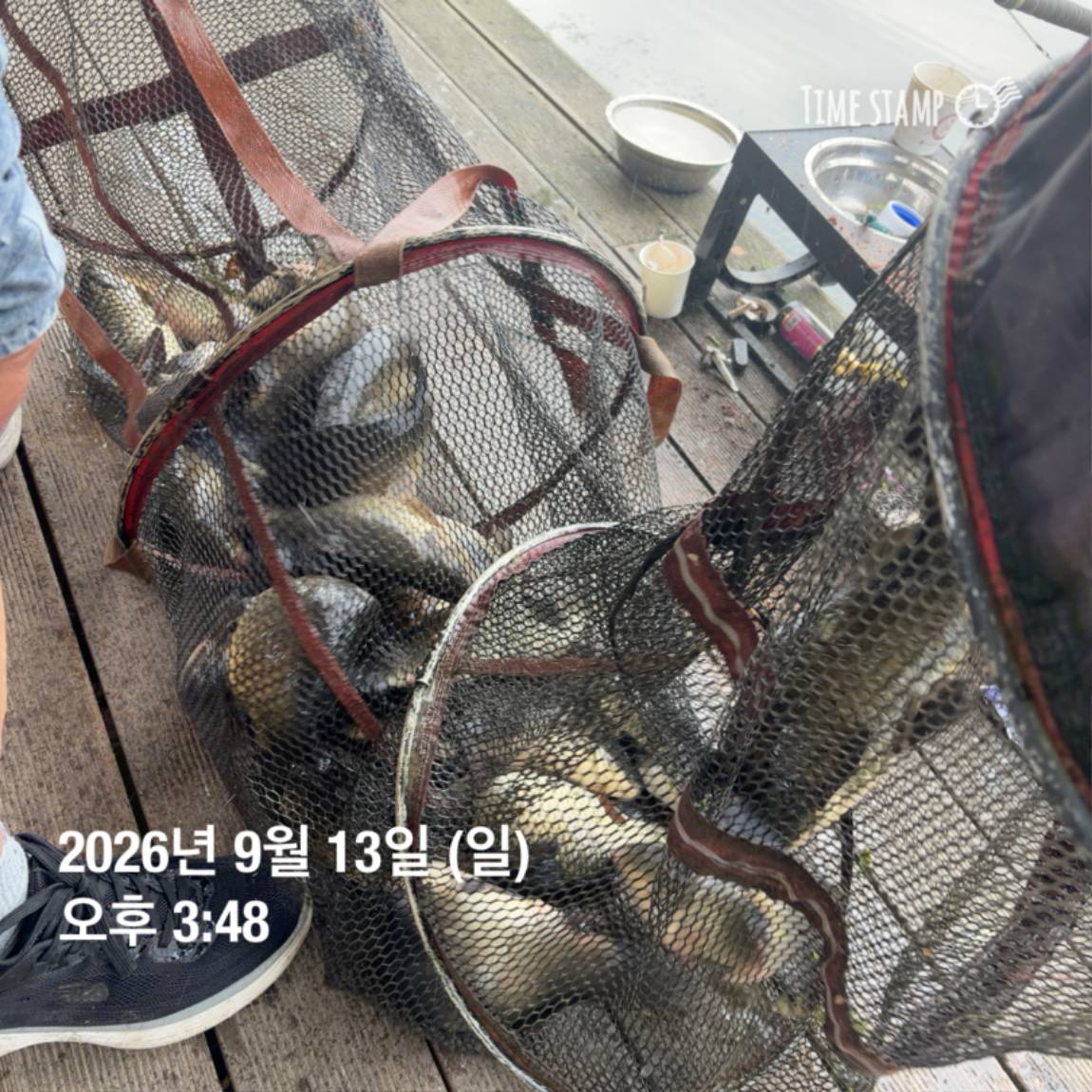 KakaoTalk_20260914_114505078_12.jpg