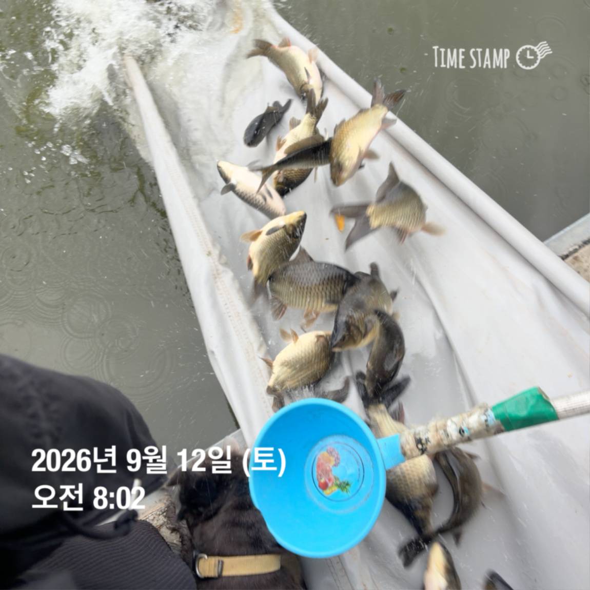 KakaoTalk_20260914_114505078_19.jpg