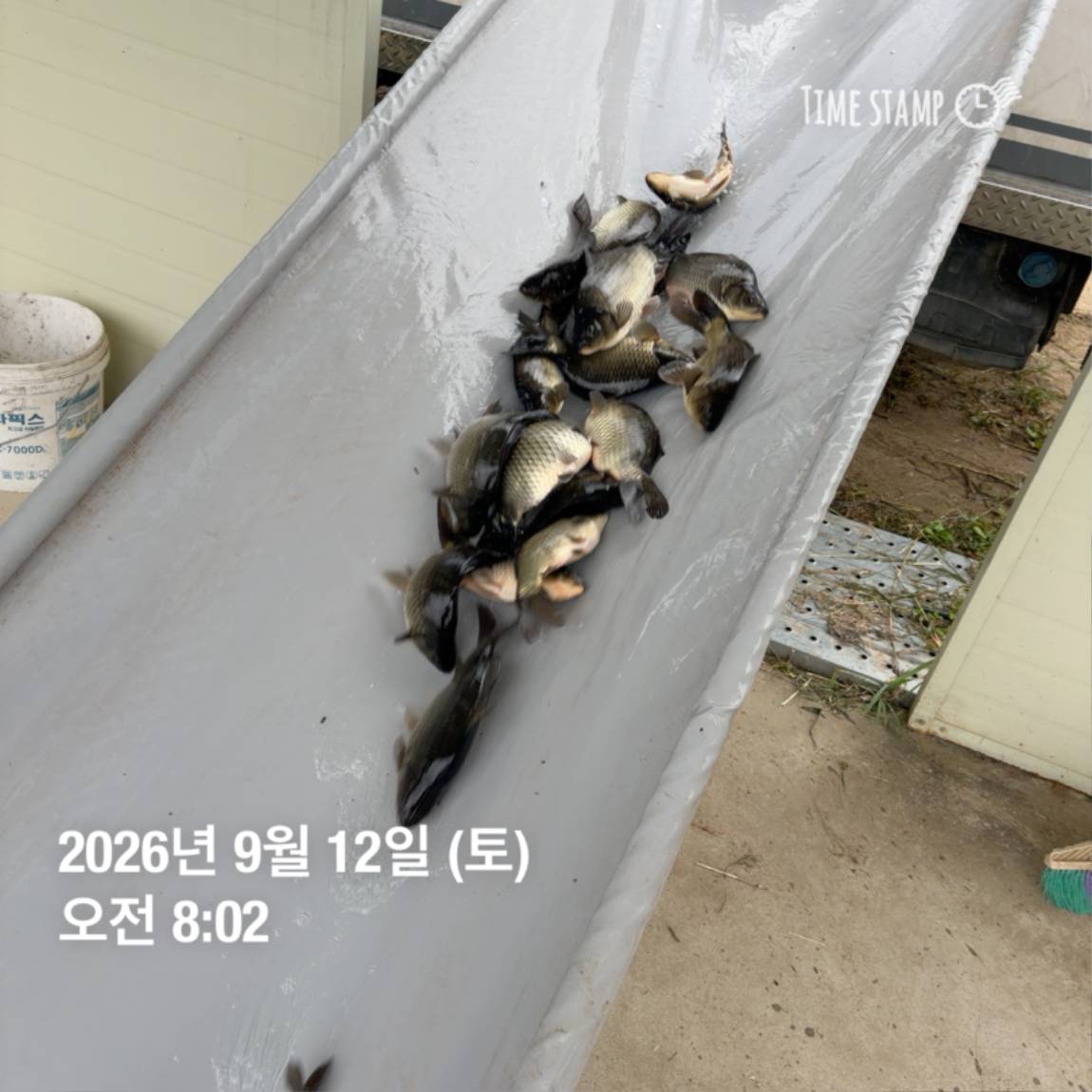 KakaoTalk_20260914_114505078_21.jpg