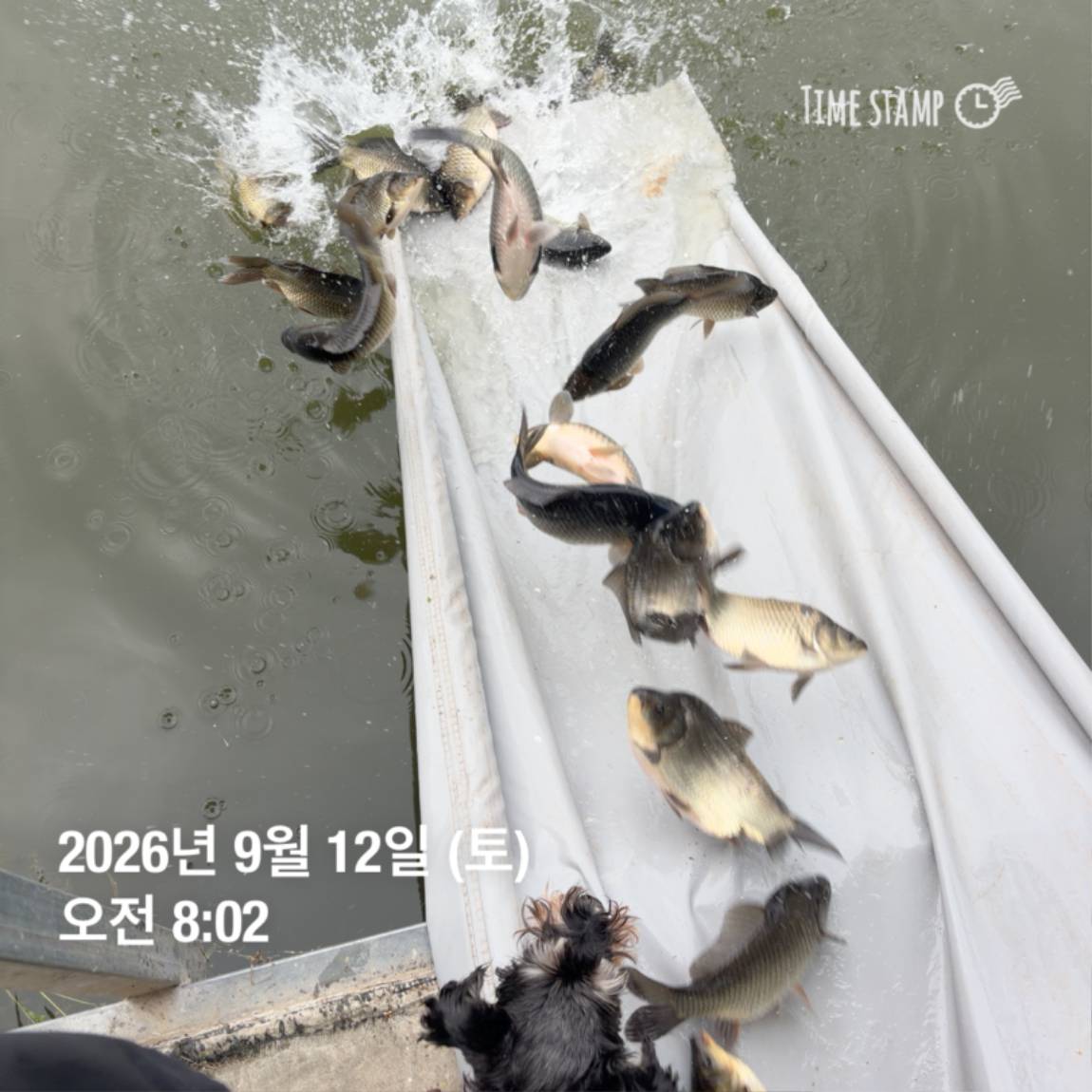 KakaoTalk_20260914_114505078_22.jpg