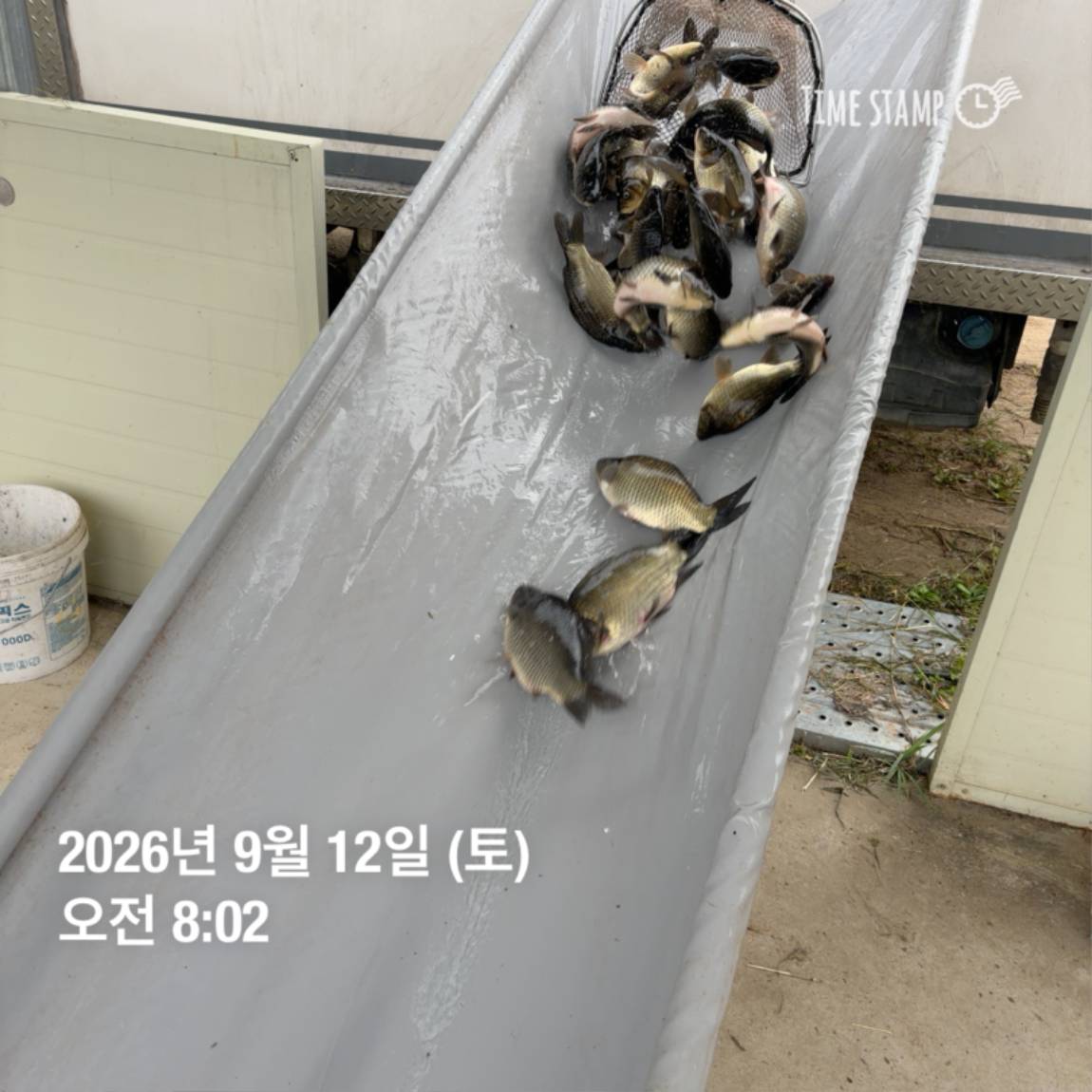 KakaoTalk_20260914_114505078_24.jpg