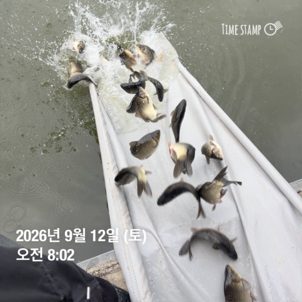 KakaoTalk_20260914_114505078_25.jpg