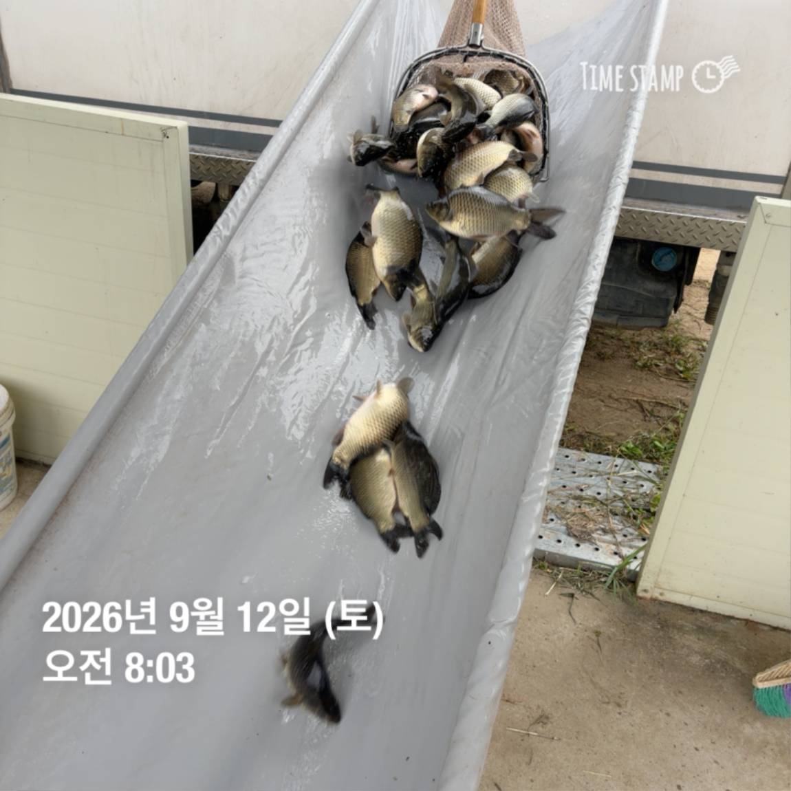 KakaoTalk_20260914_114505078_27.jpg