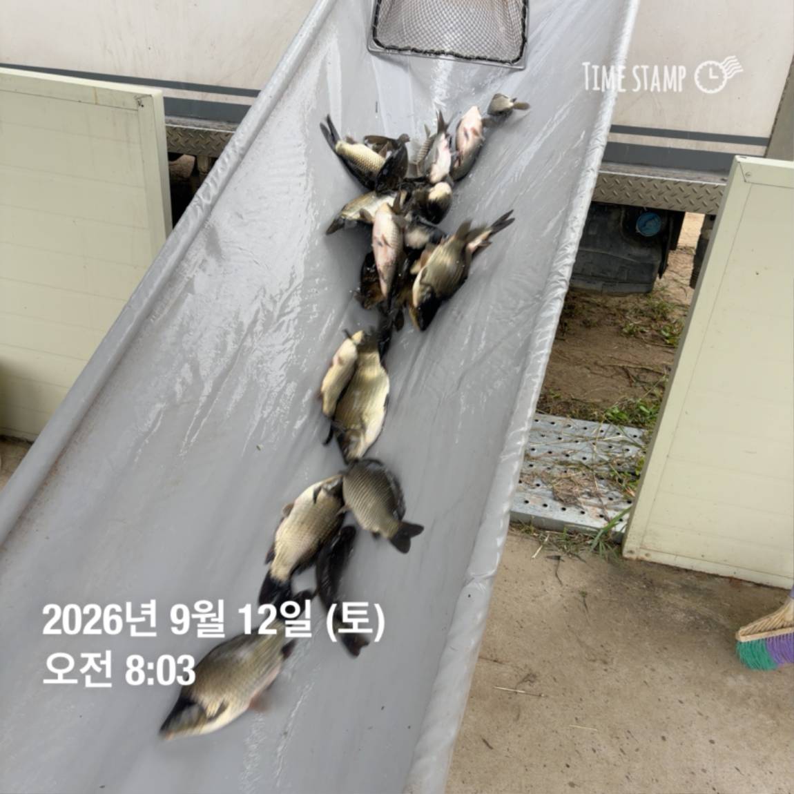 KakaoTalk_20260914_114508557.jpg