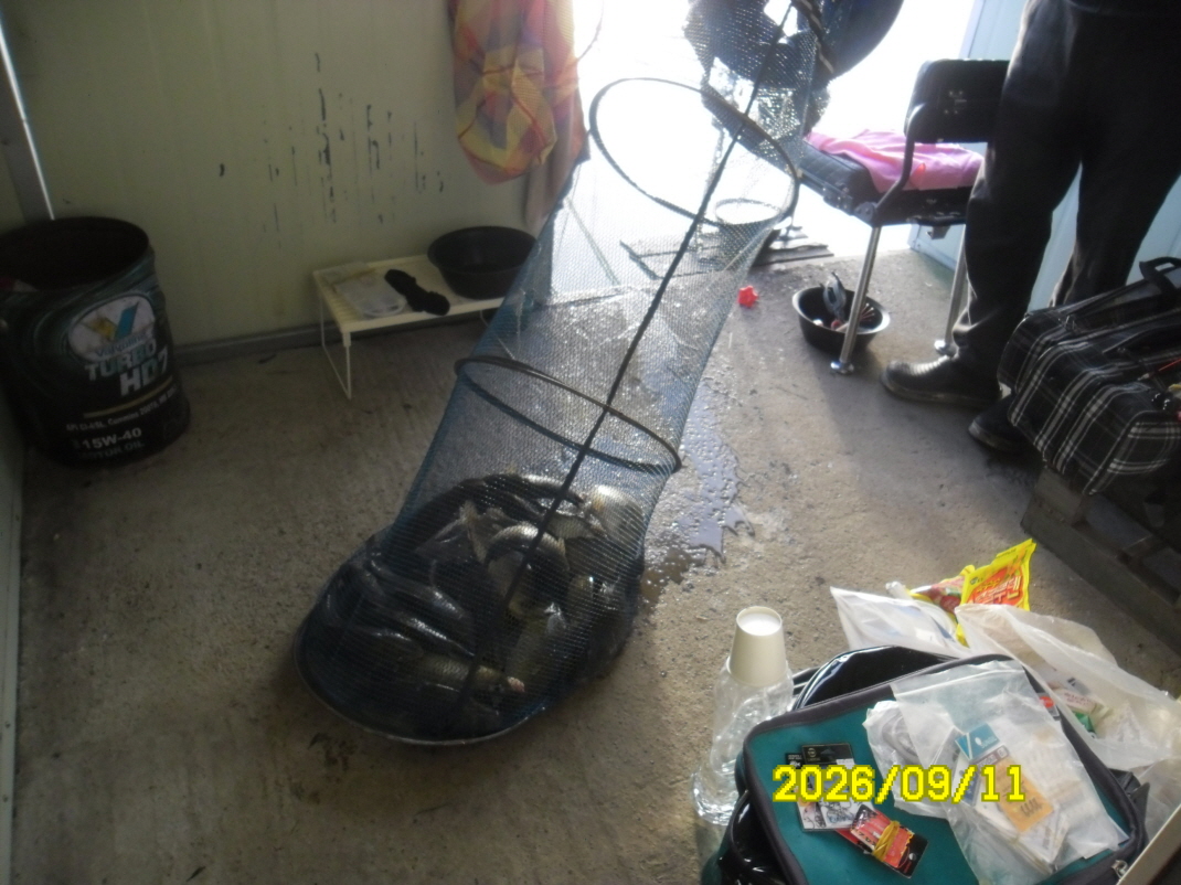 SAM_2615.JPG