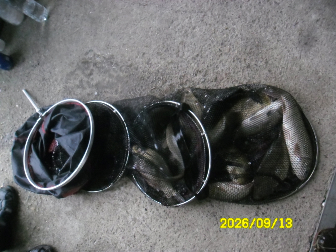 SAM_2705.JPG
