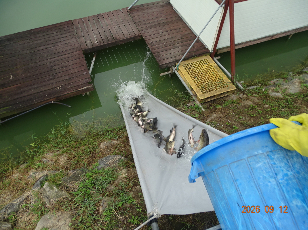 DSC08486.JPG
