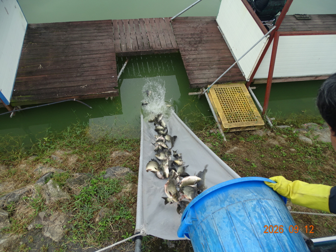 DSC08490.JPG