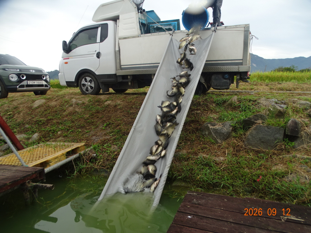 DSC08496.JPG