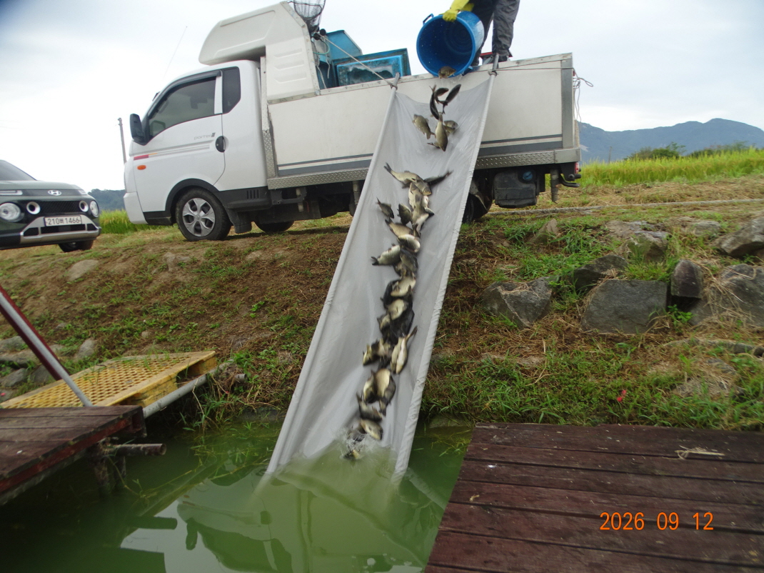 DSC08498.JPG