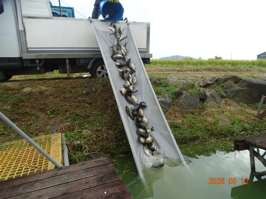 DSC08494.JPG