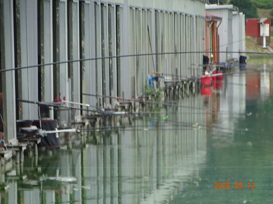 DSC08509.JPG