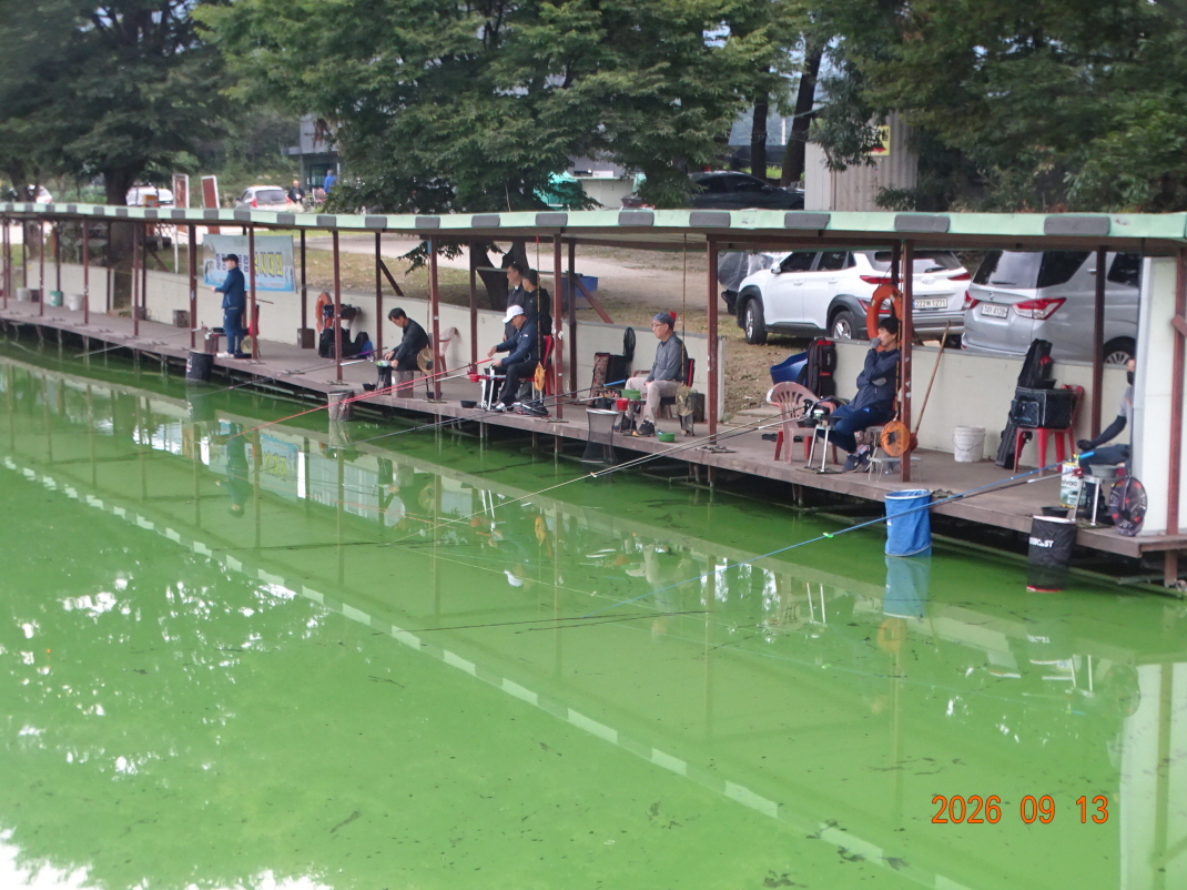 DSC08589.JPG
