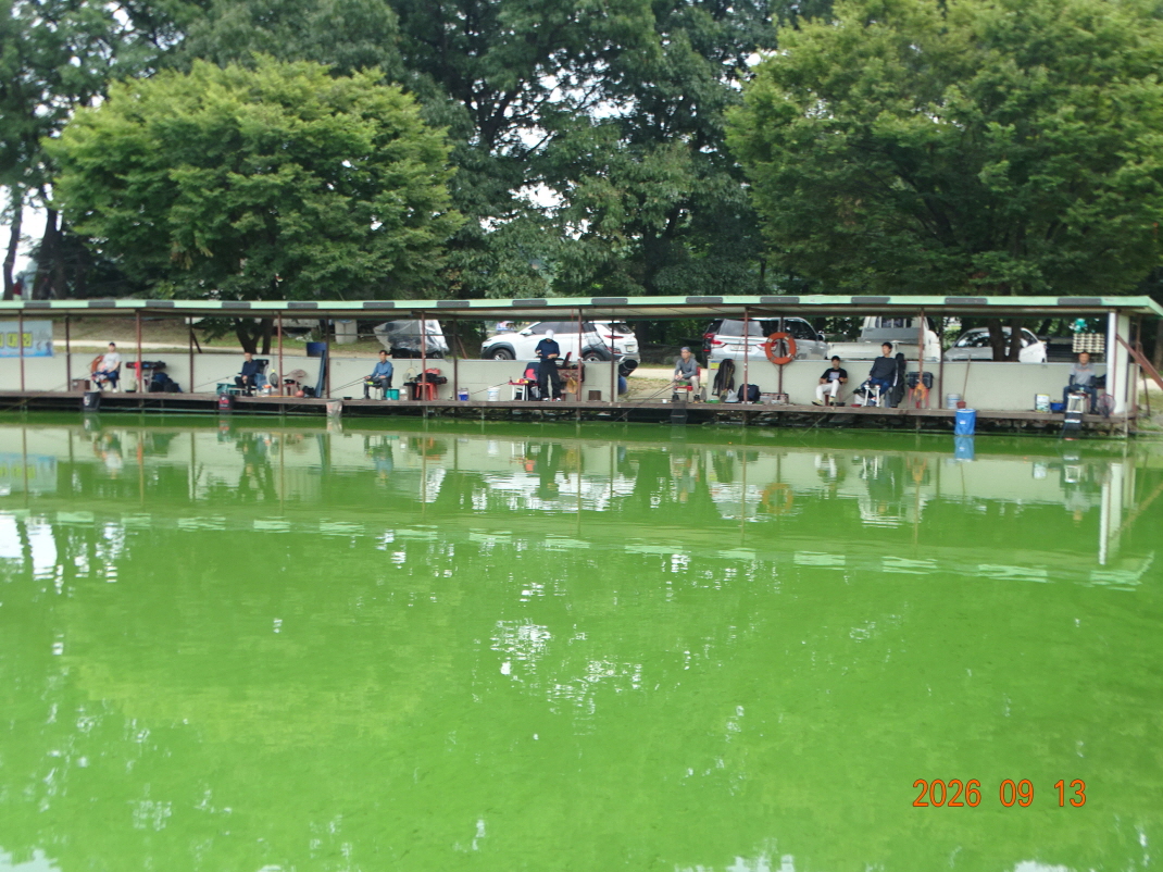 DSC08609.JPG