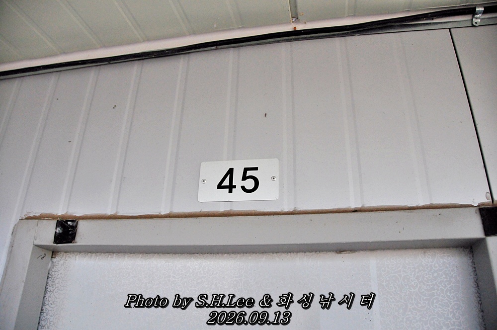 LSH_6652.JPG