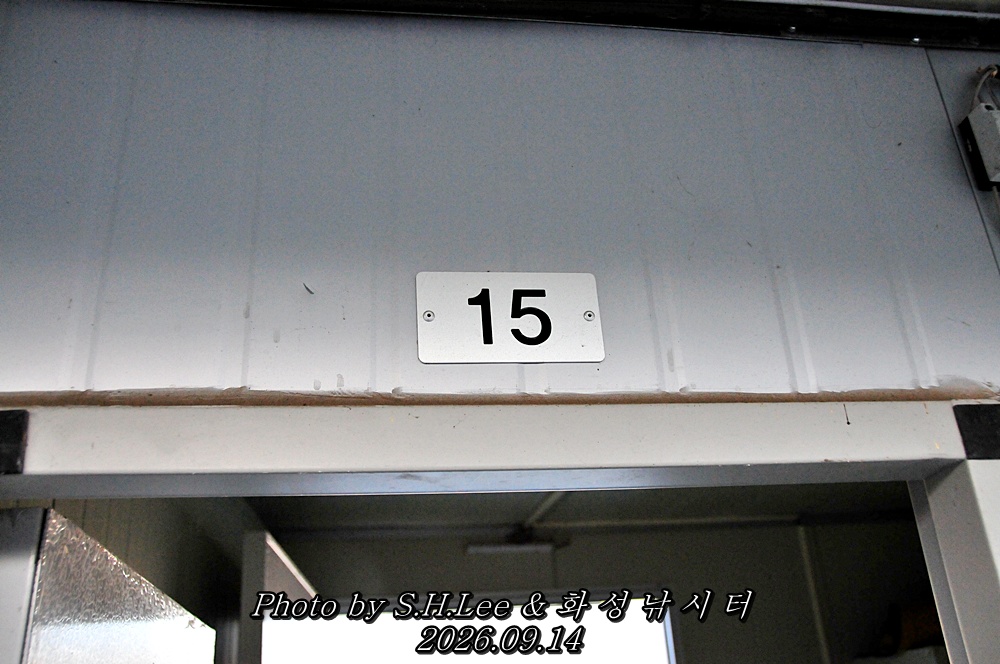 LSH_6666.JPG