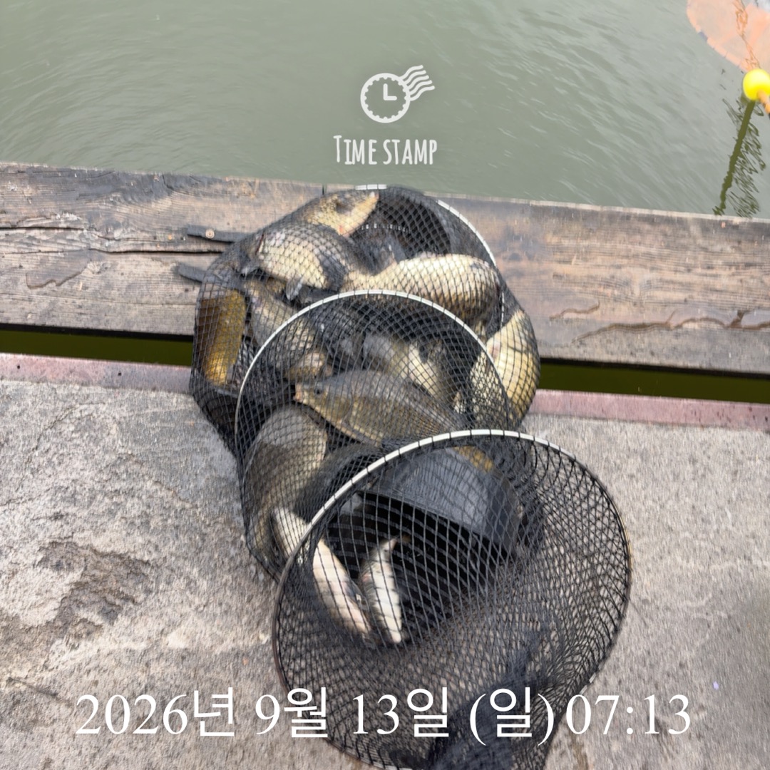 KakaoTalk_20260915_082959649_10.jpg