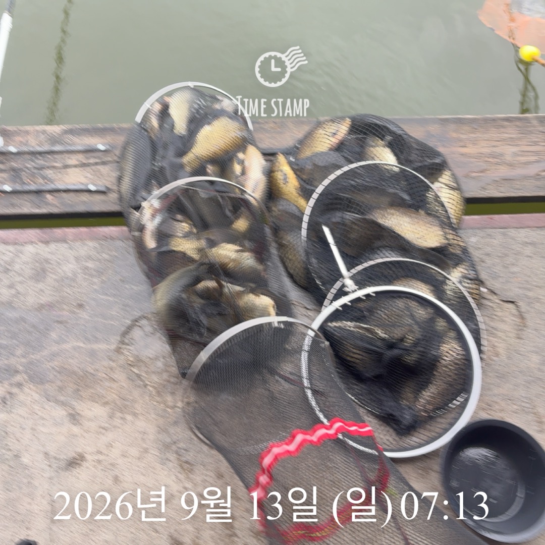 KakaoTalk_20260915_082959649_09.jpg