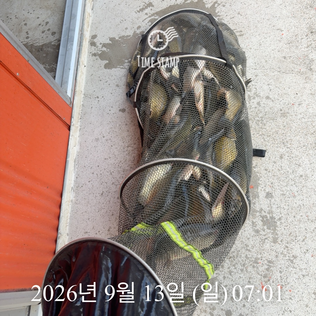 KakaoTalk_20260915_082959649_14.jpg