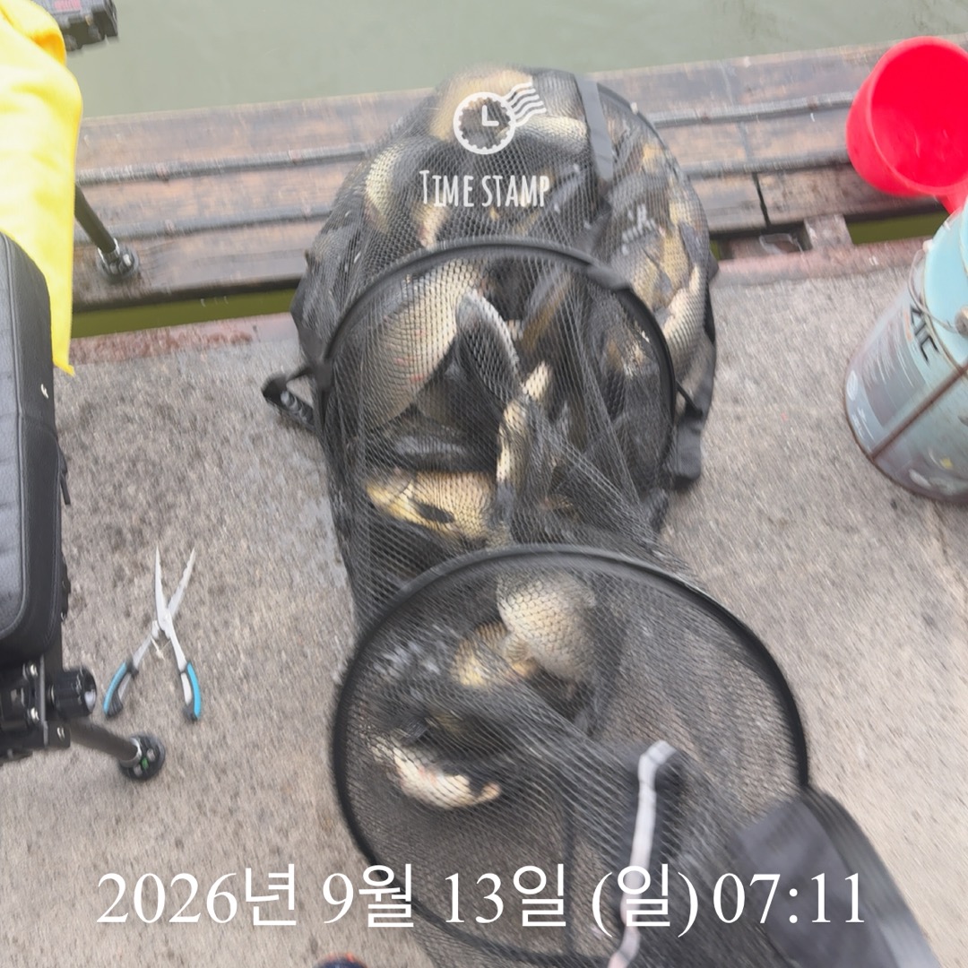 KakaoTalk_20260915_082959649_11.jpg