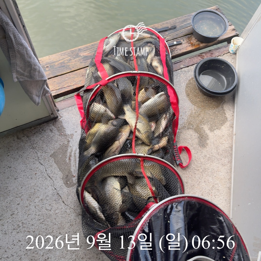 KakaoTalk_20260915_082959649_15.jpg