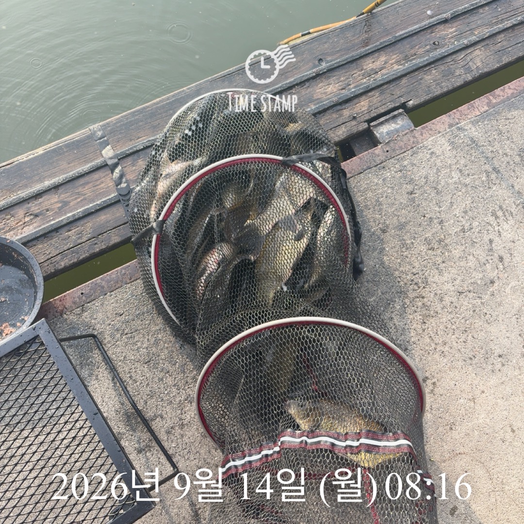 KakaoTalk_20260915_082959649.jpg
