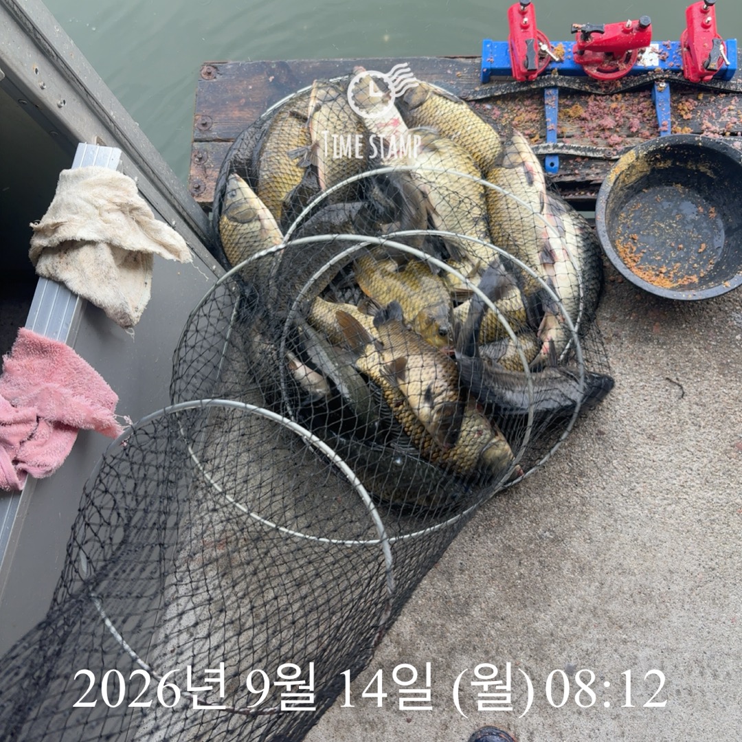 KakaoTalk_20260915_082959649_01.jpg