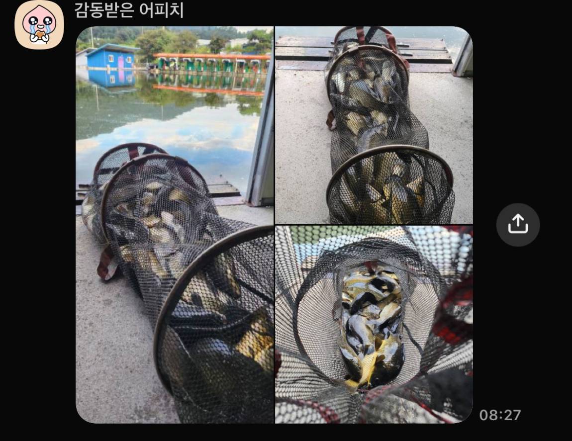 KakaoTalk_20260915_082959649_03.jpg
