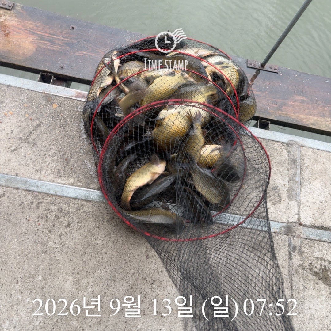 KakaoTalk_20260915_082959649_05.jpg