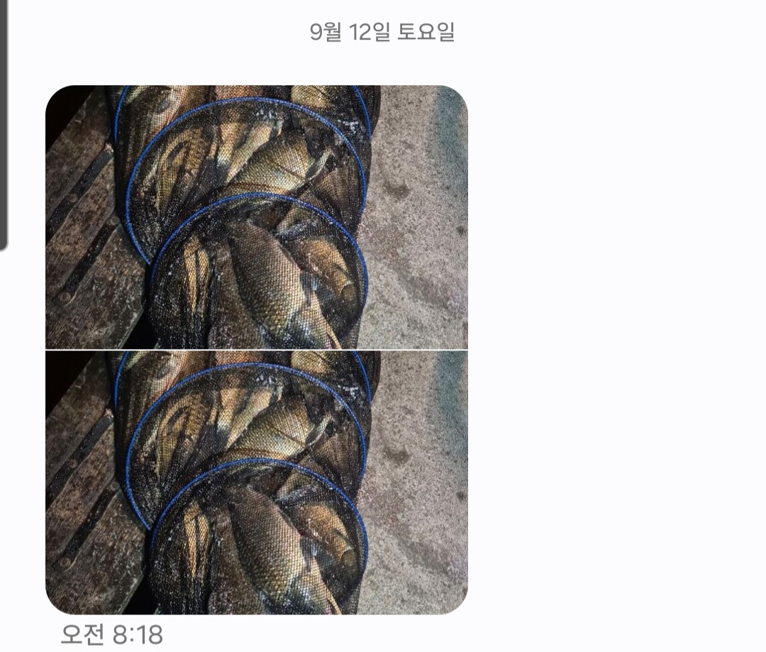 KakaoTalk_20260915_095425253.jpg