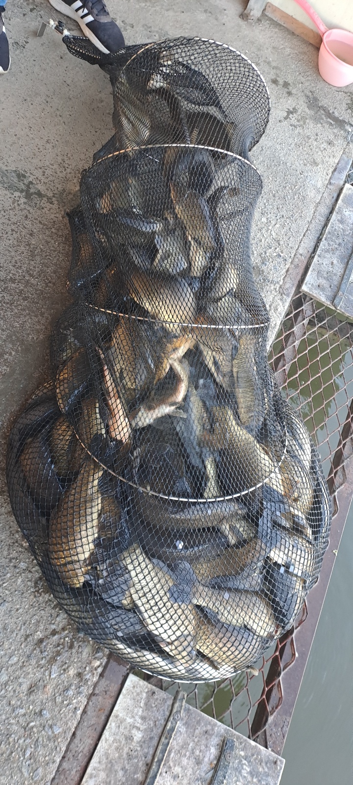 KakaoTalk_20260916_115506355_09.jpg