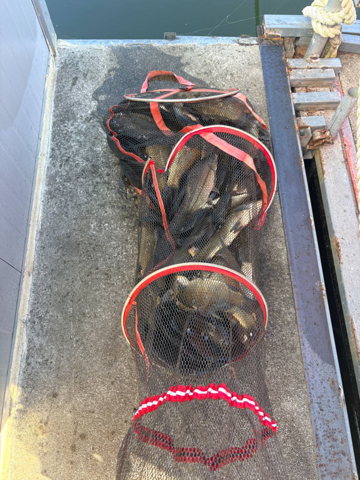 KakaoTalk_20260917_085144980_03.jpg
