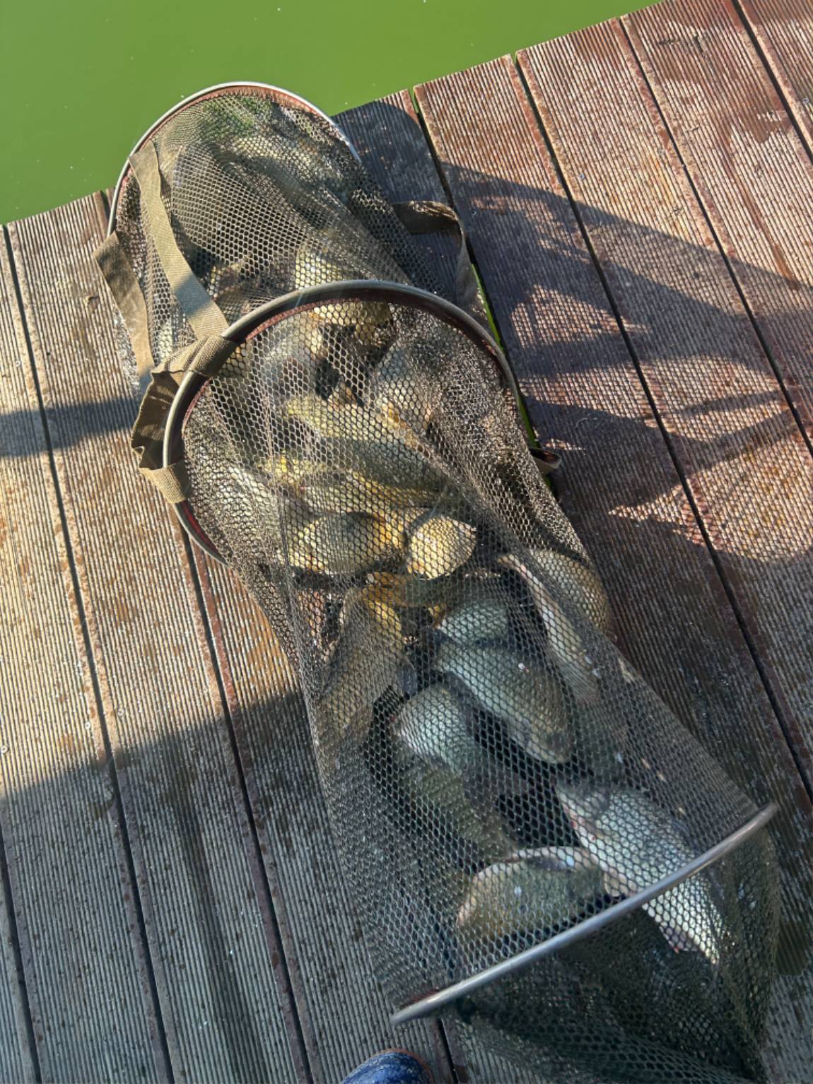 KakaoTalk_20260917_092543388_07.jpg
