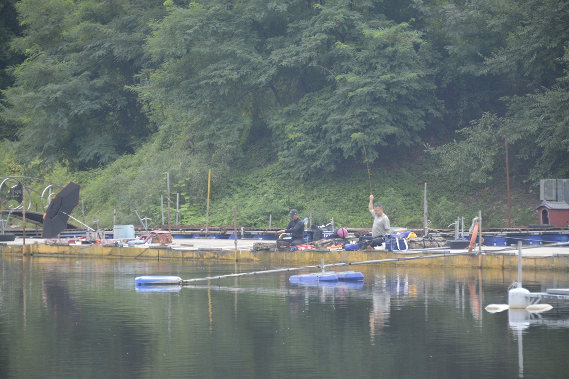 _7104707.JPG