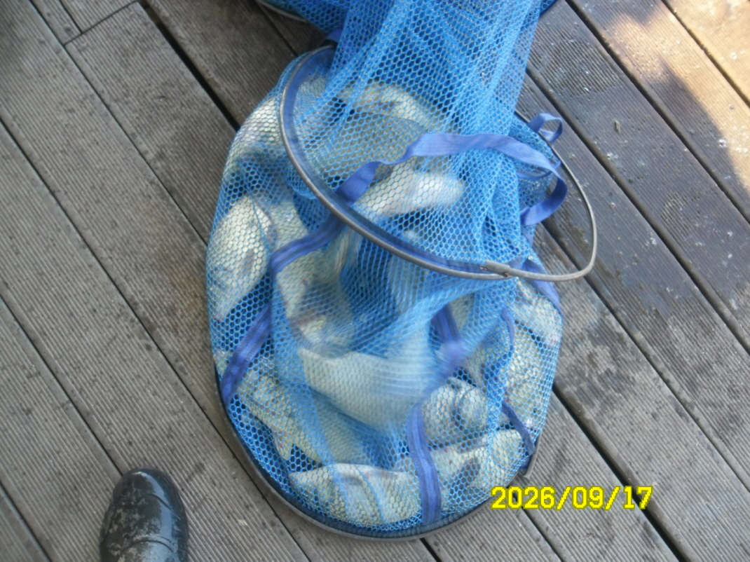 SAM_2790.JPG