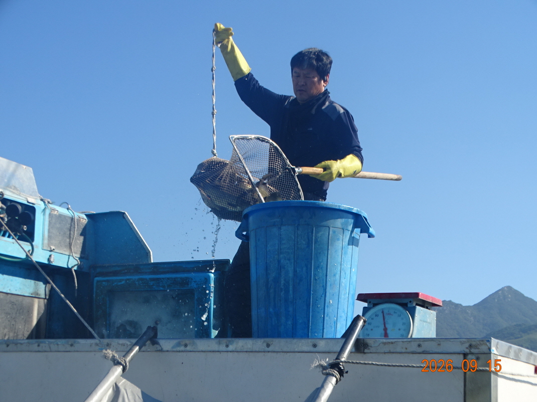 DSC08644.JPG