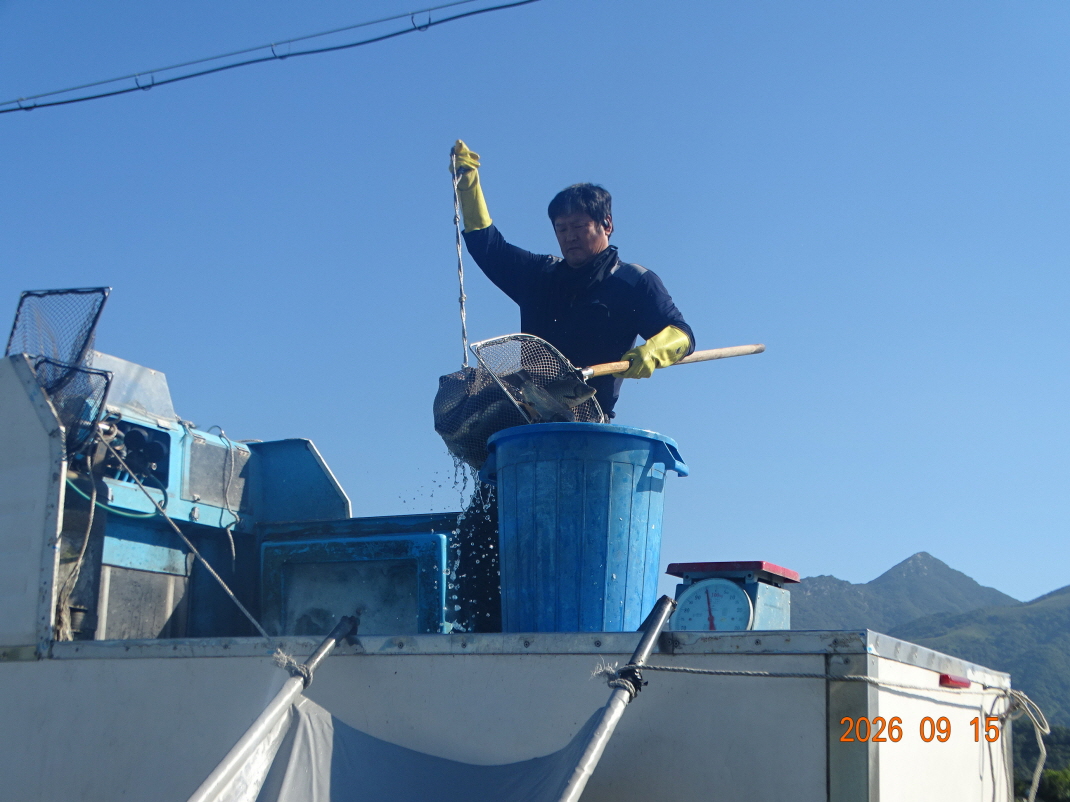 DSC08643.JPG