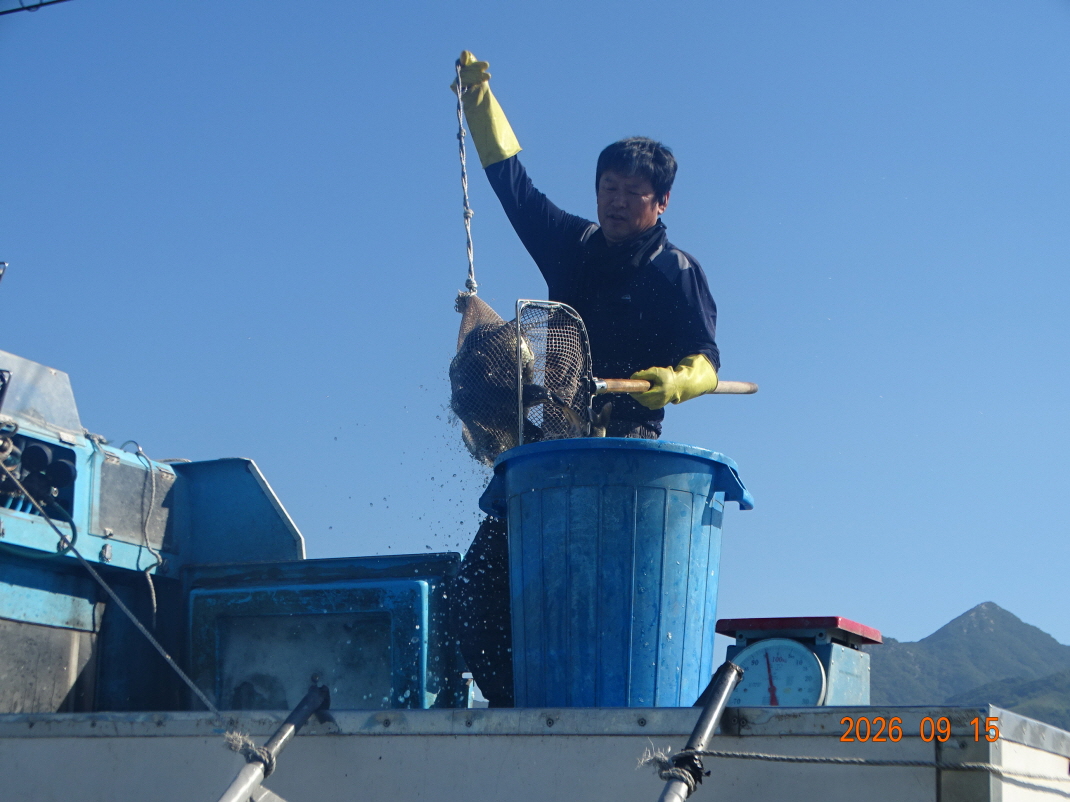 DSC08645.JPG