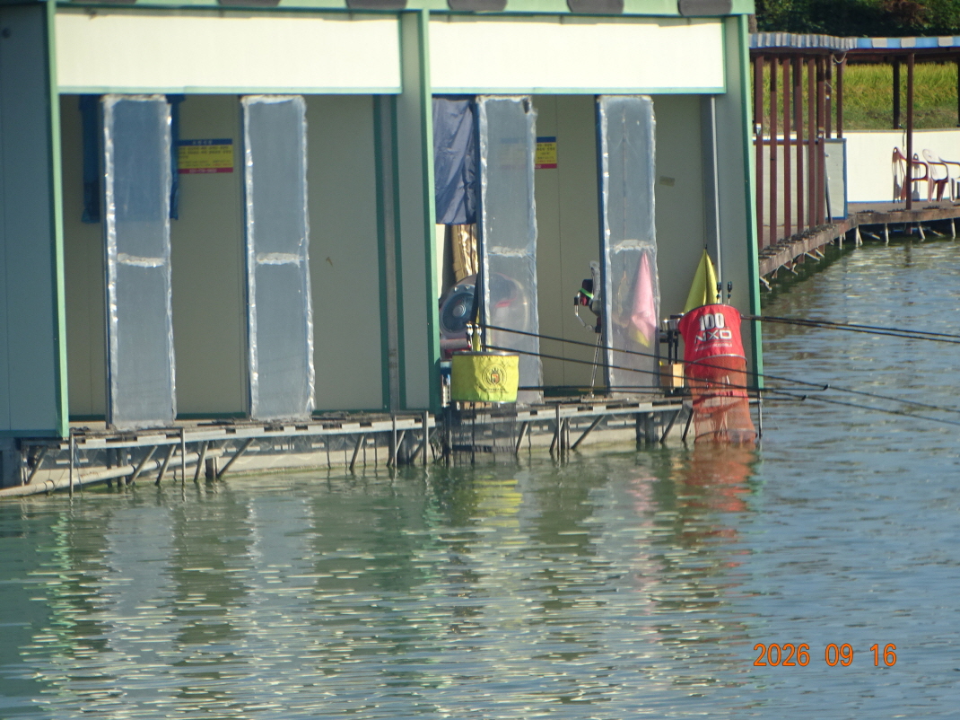 DSC08668.JPG