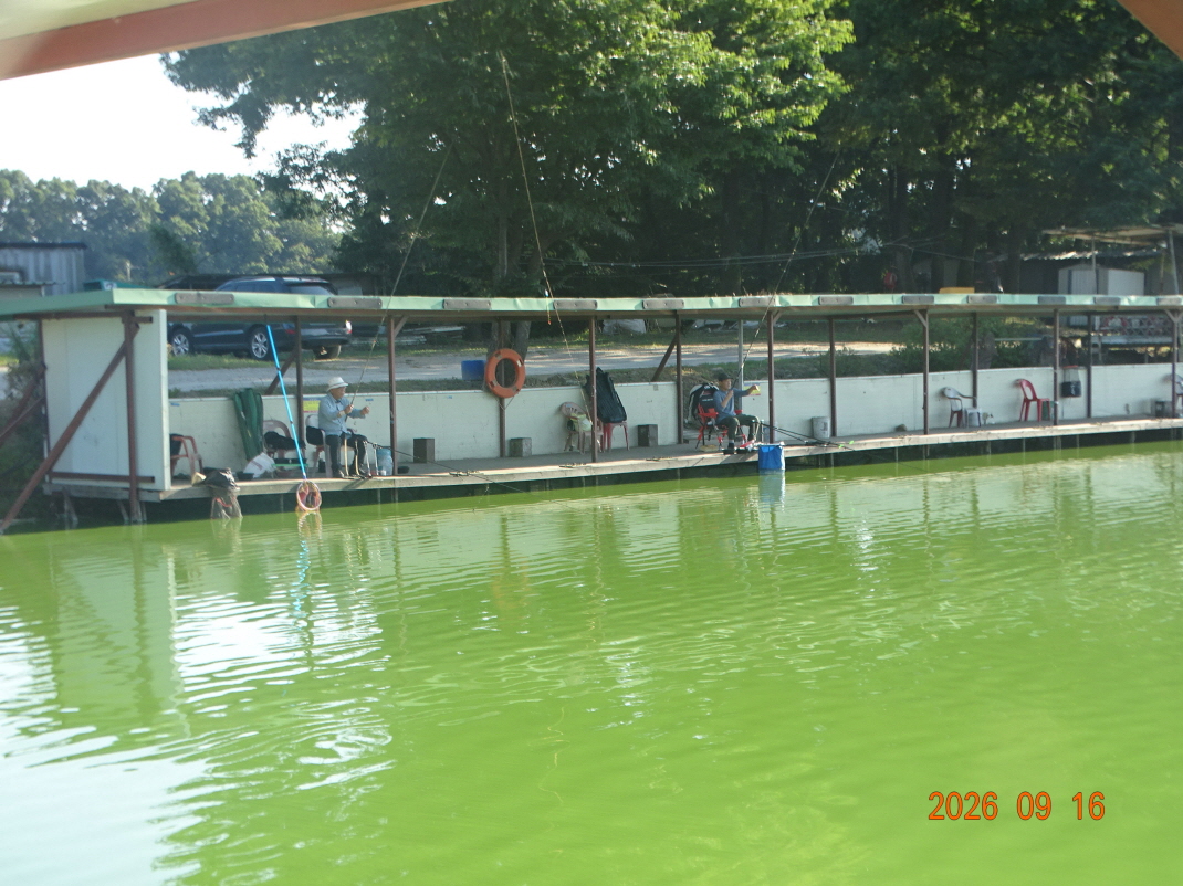 DSC08667.JPG