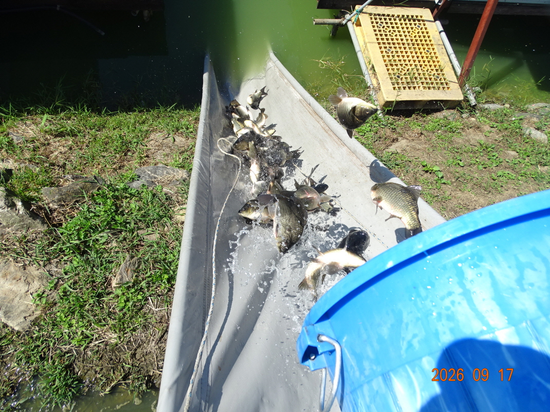 DSC08680.JPG