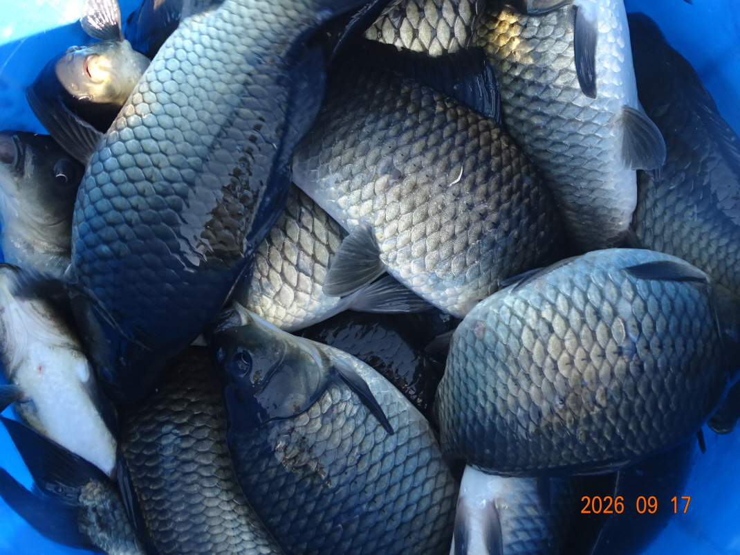 DSC08684.JPG