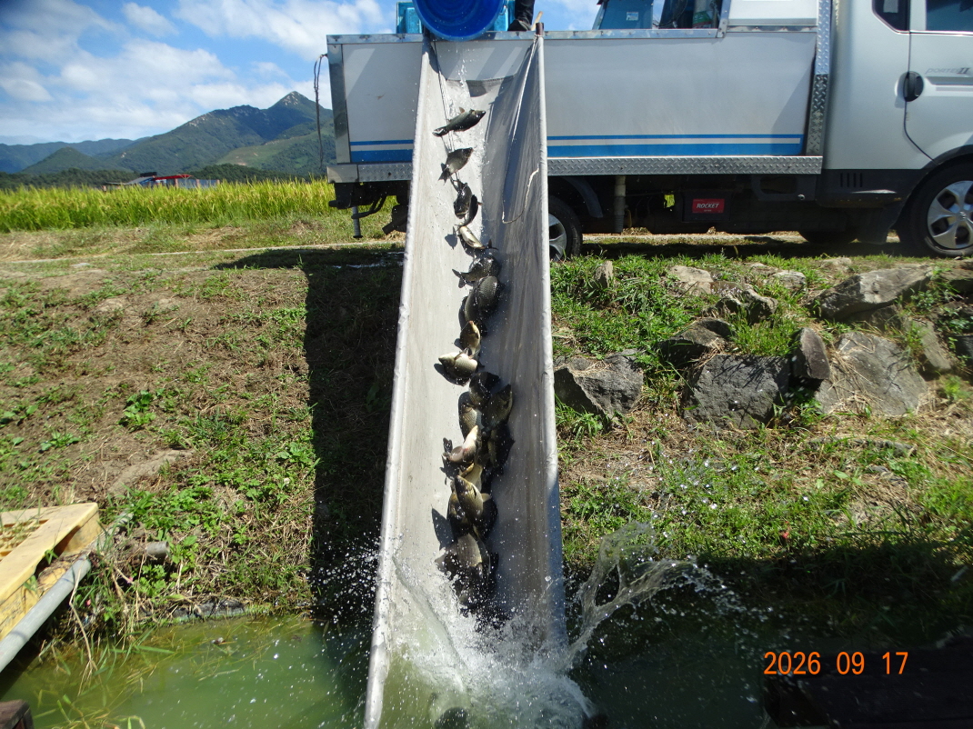 DSC08687.JPG